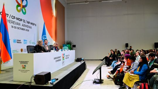 Argentina among four nations accused of undermining science at UN nature talks