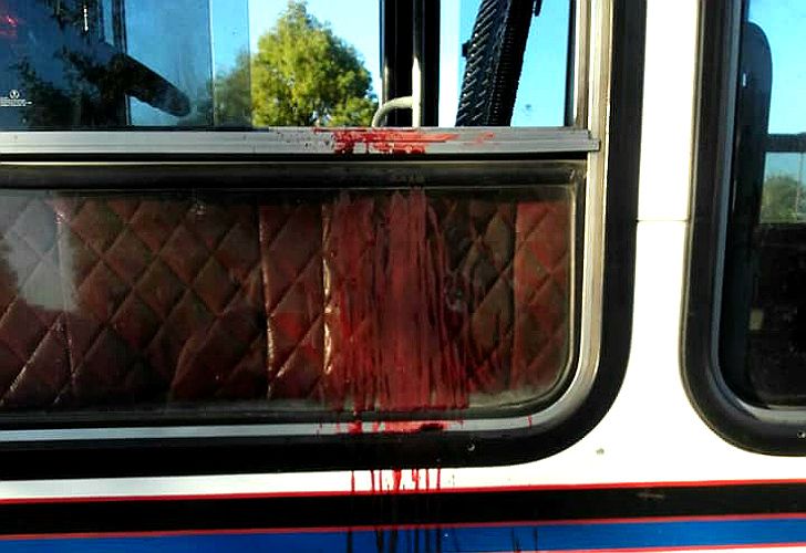 Así quedó el colectivo de la línea 620 tras el crimen del colectivero.