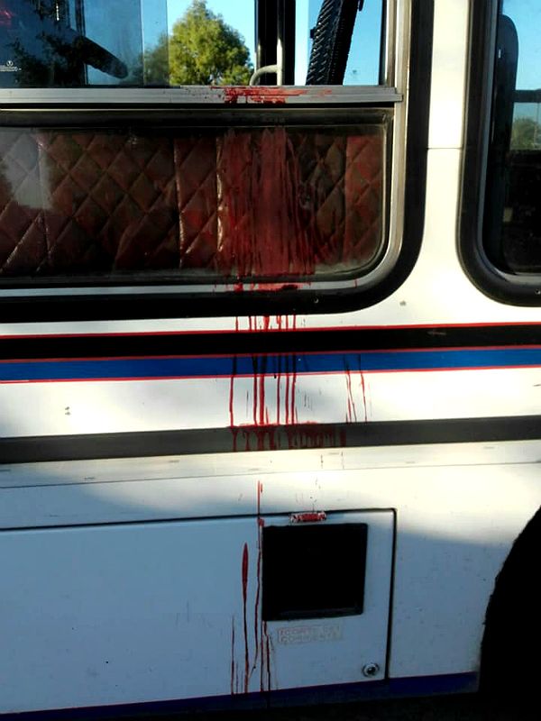 Así quedó el colectivo de la línea 620 tras el crimen del colectivero.