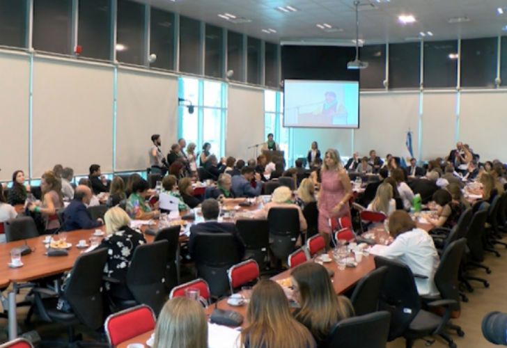 Continúa el debate en el Congreso por la despenalización del aborto.