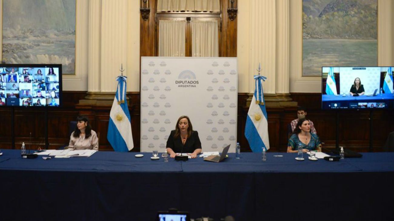 Plenario de Comisiones en Diputados