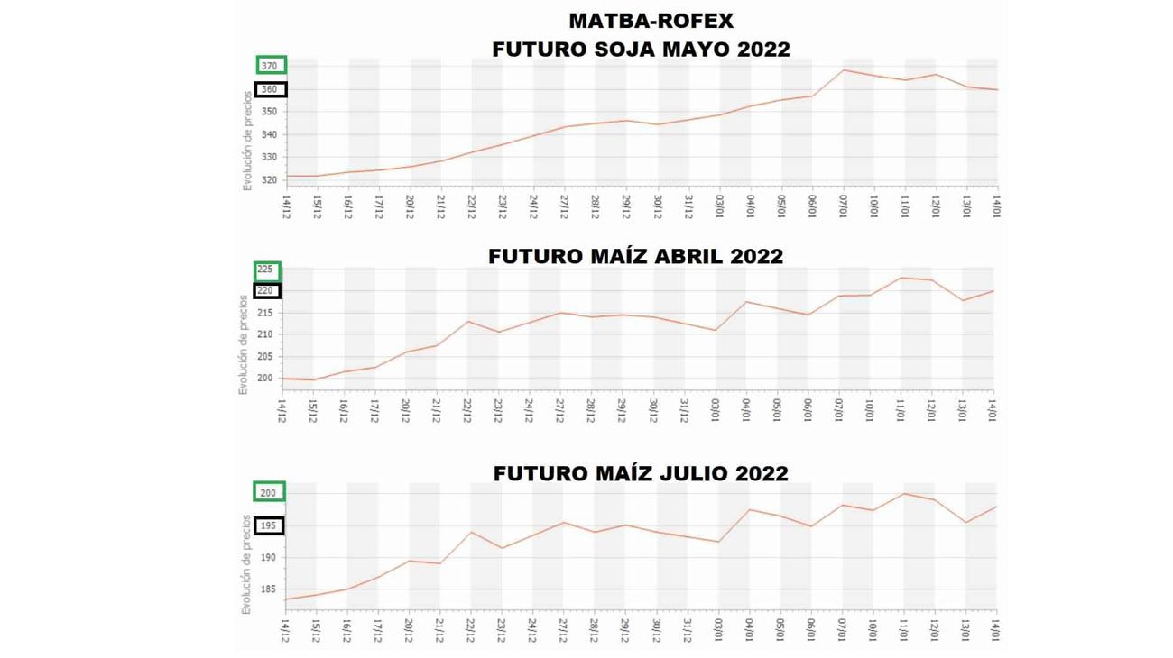 SDS consultores 20220117