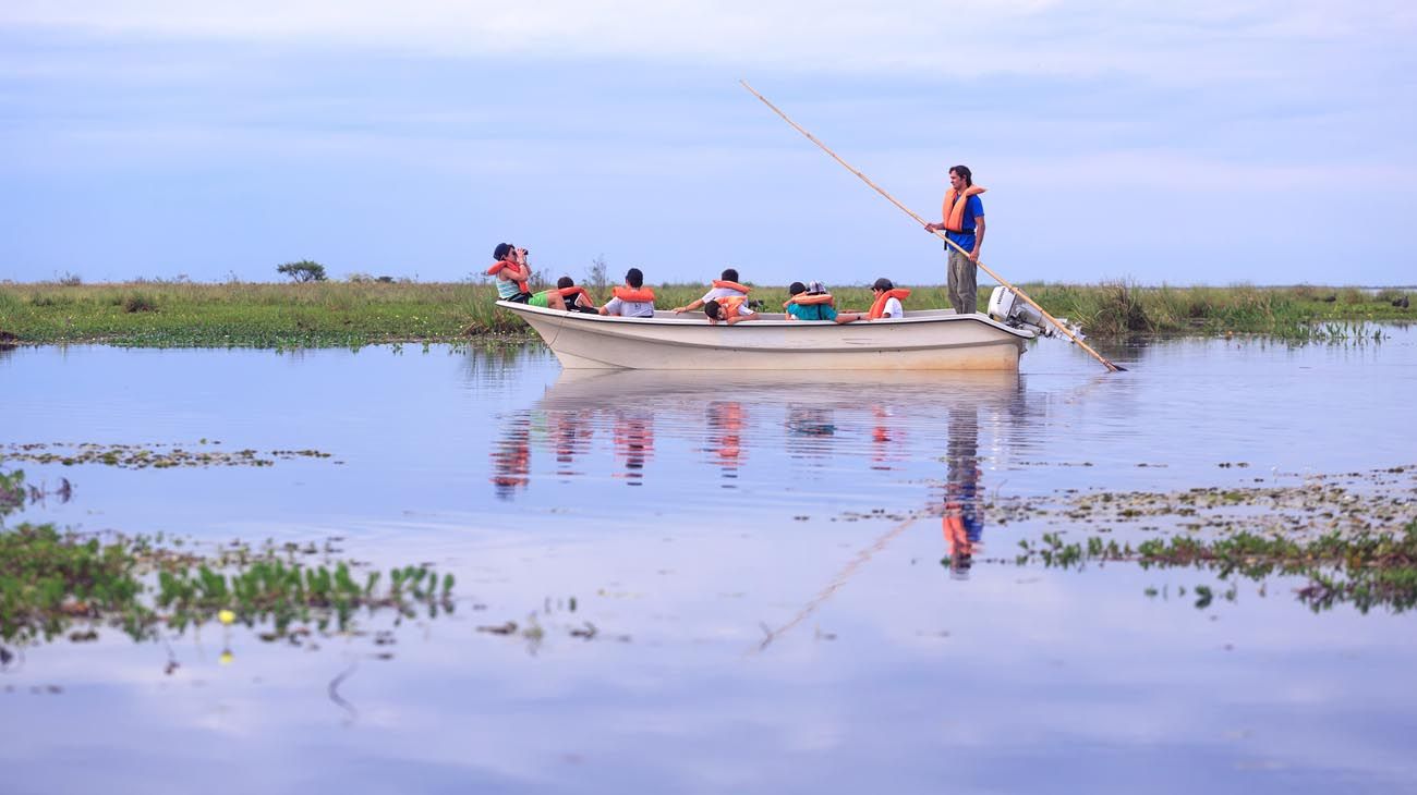 Esteros del Iberá