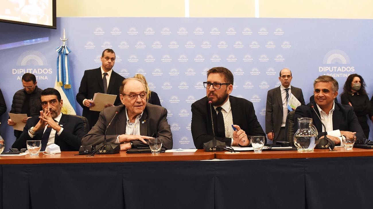 Plenario de Comisiones en Diputados