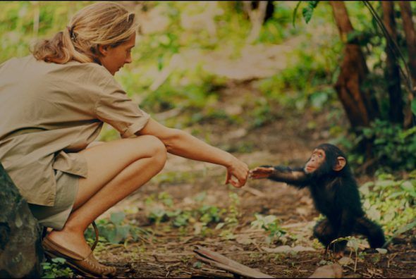 Jane Goodall
