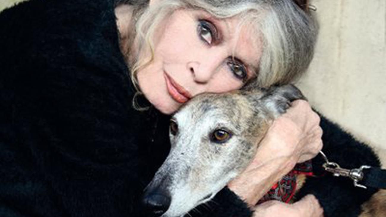 Brigitte Bardot 20220927