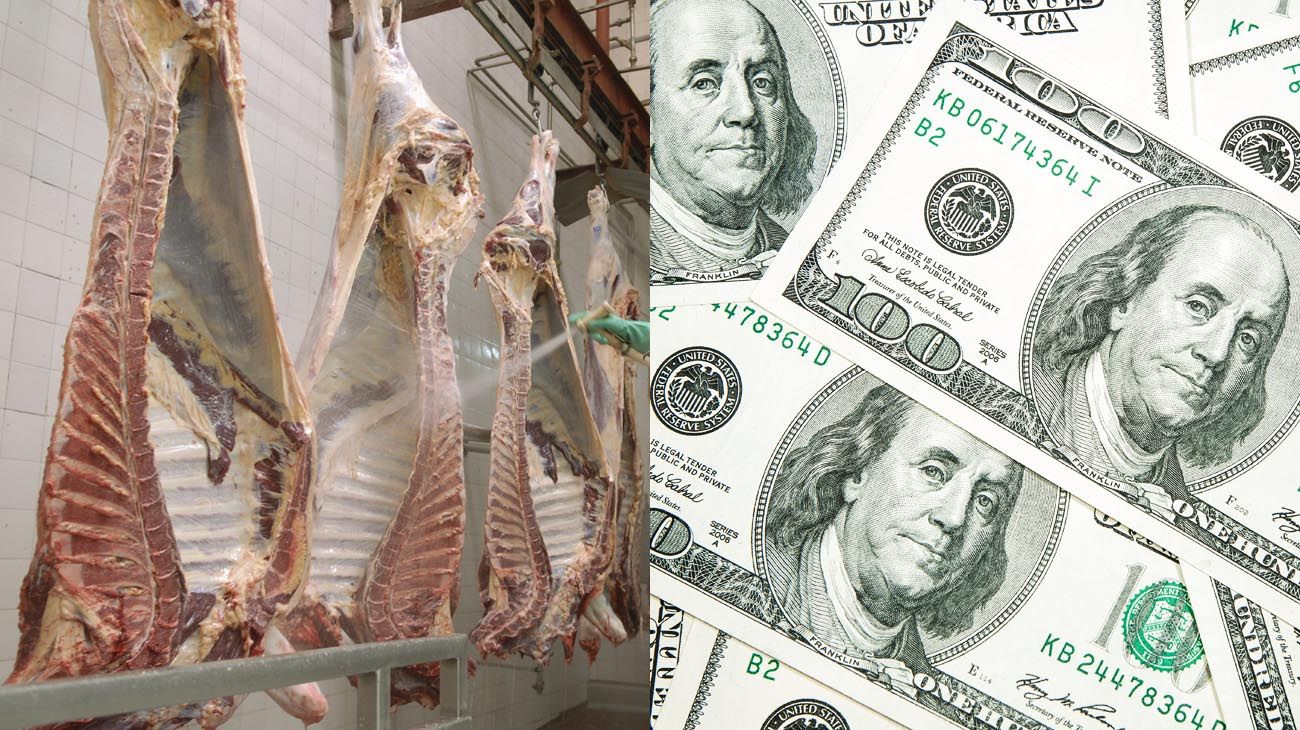 Carne y Dólar