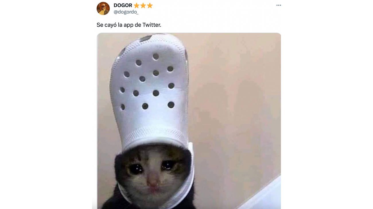 Se cayó Twitter