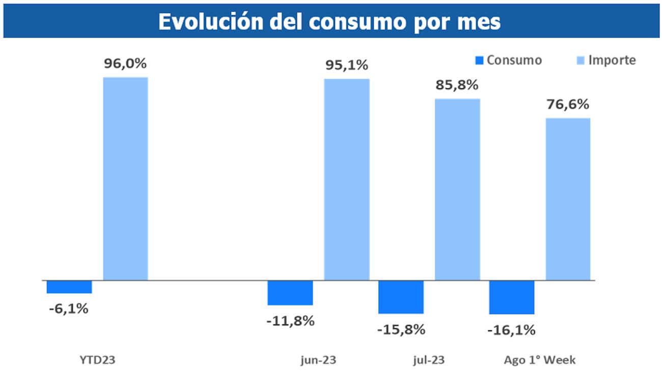 Consumo en agosto 20230816