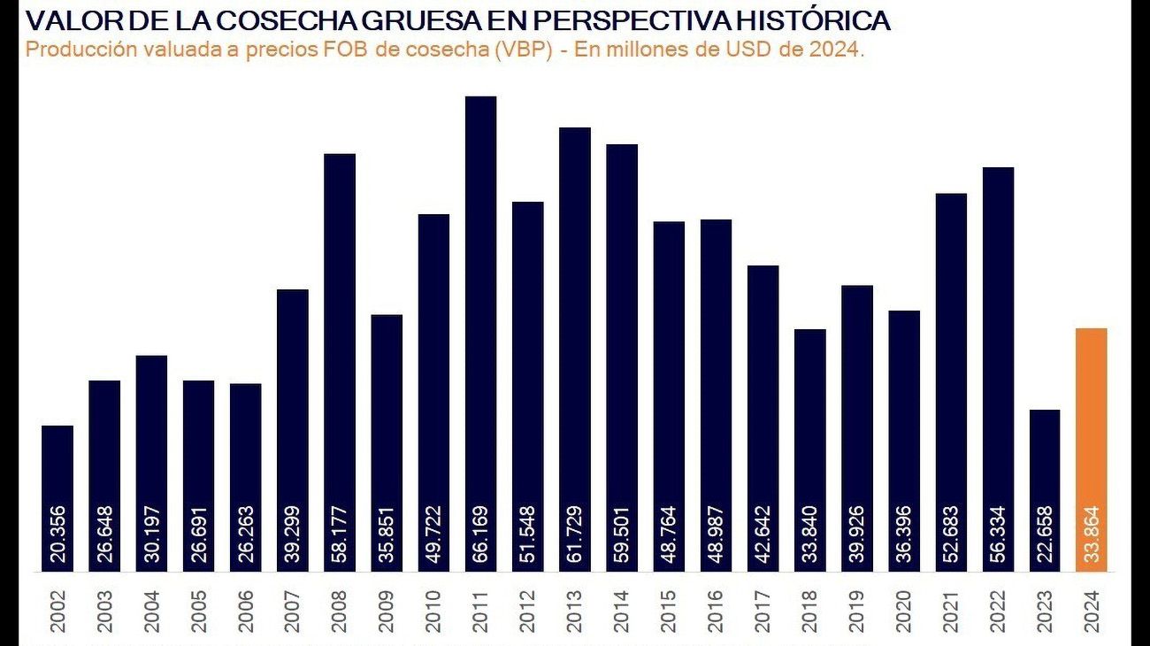 Cocecha 2024