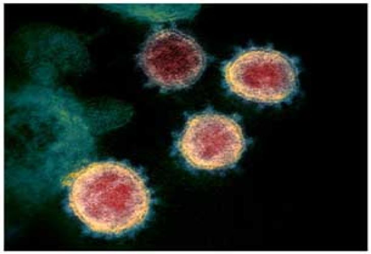 Coronavirus microscopio