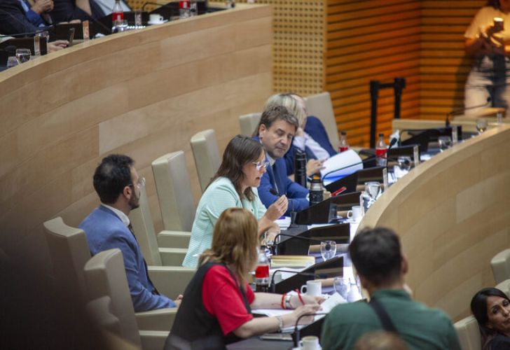 Austin fundamentó el voto UCR