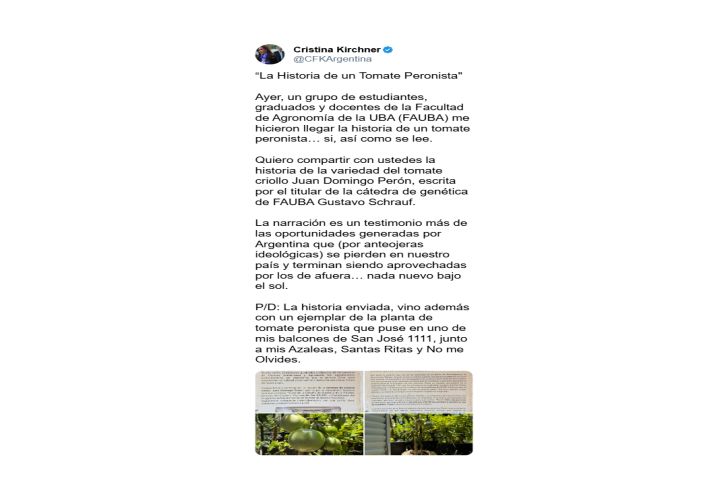 El tomate peronista de Cristina Kirchner 4