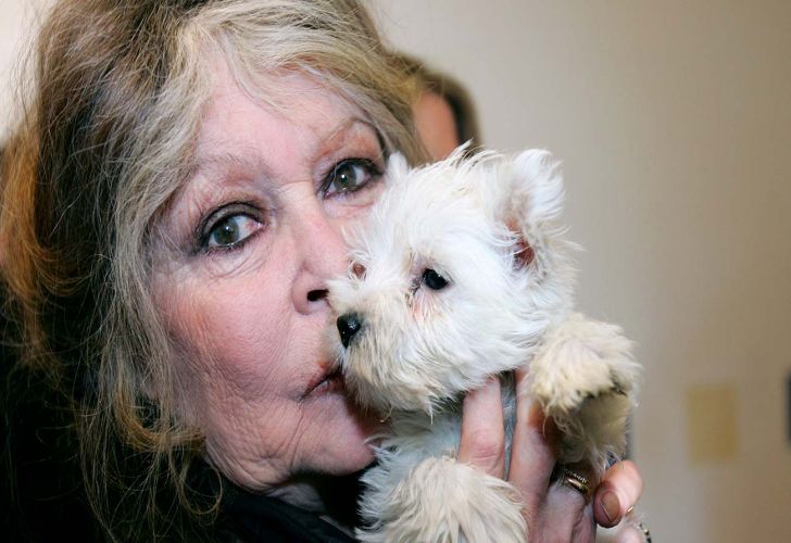 Brigitte Bardot murió a los 91 años 28122025