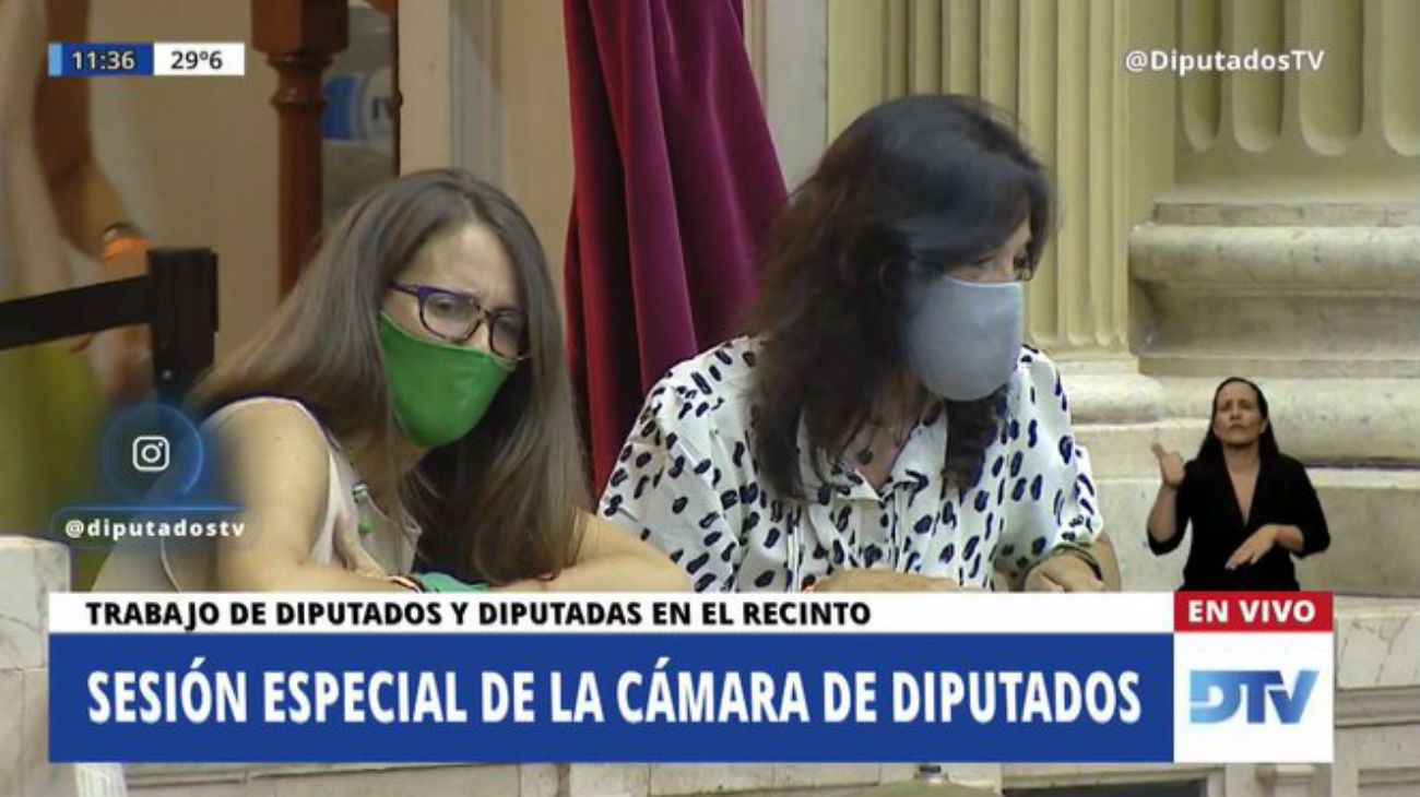 Vilma Ibarra y Elizabeth Gómez Alcorta, en un palco del Senado. Foto: DTV
