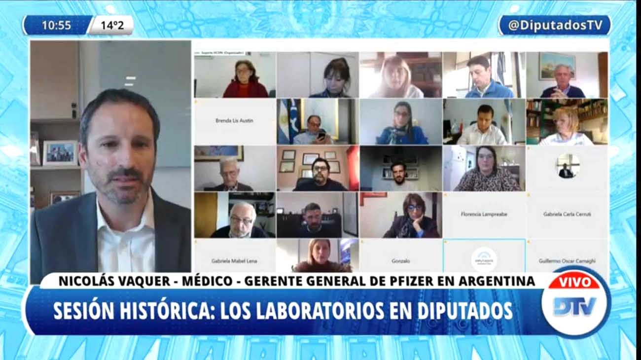 Representante de laboratorio Pfizer, Nicolas Vaquer, ante el Congreso.