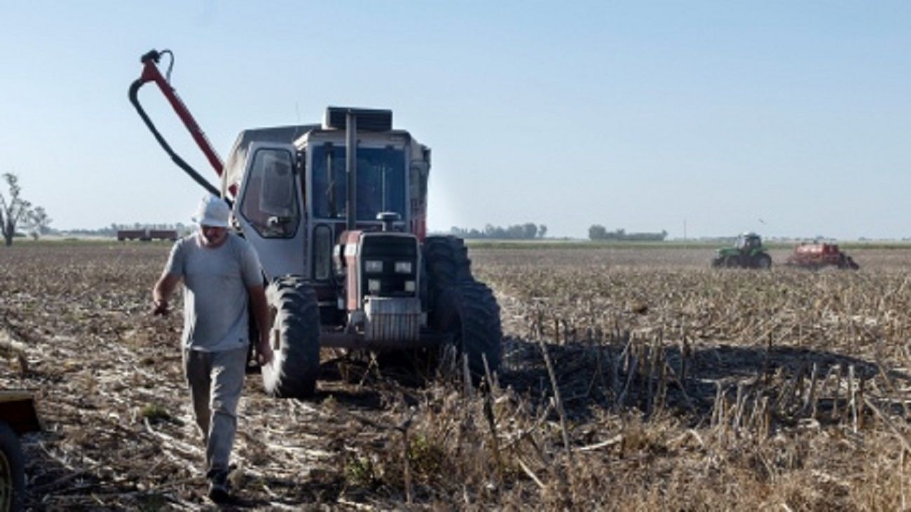 El experto ve al sector agro y energético como pilares fuindamentales para el consuimo este año