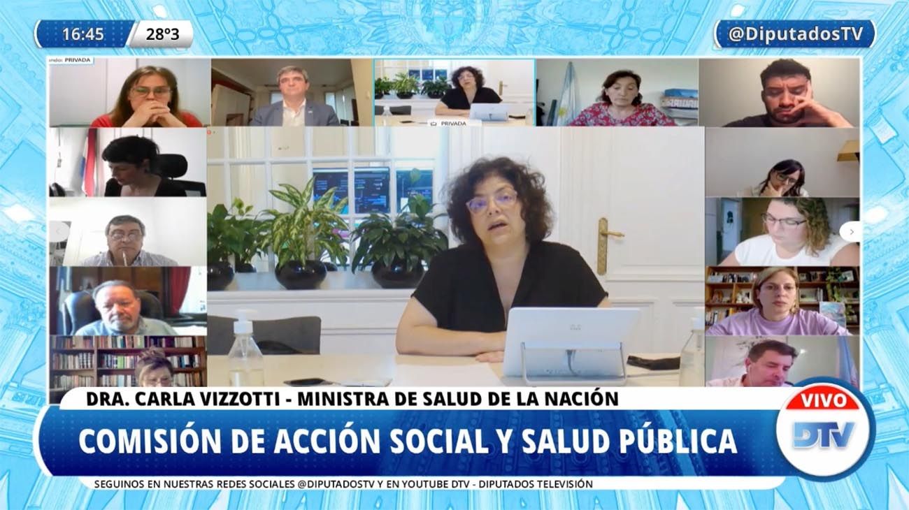 Carla Vizzotti ante la Comisión de Salud en Diputados